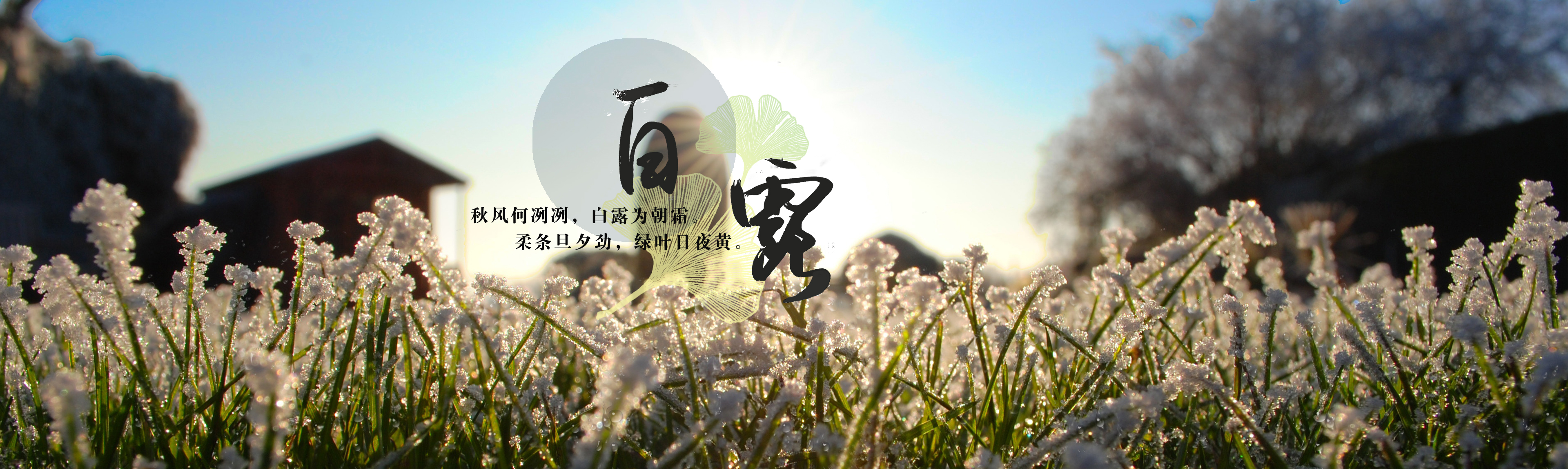 PG���ӡ�(ģ����)��Ϸ������� -pgsoft-games